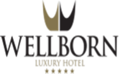 Enerji Danışmanlığı | Wellborn Luxury Hotel | Referanslar
